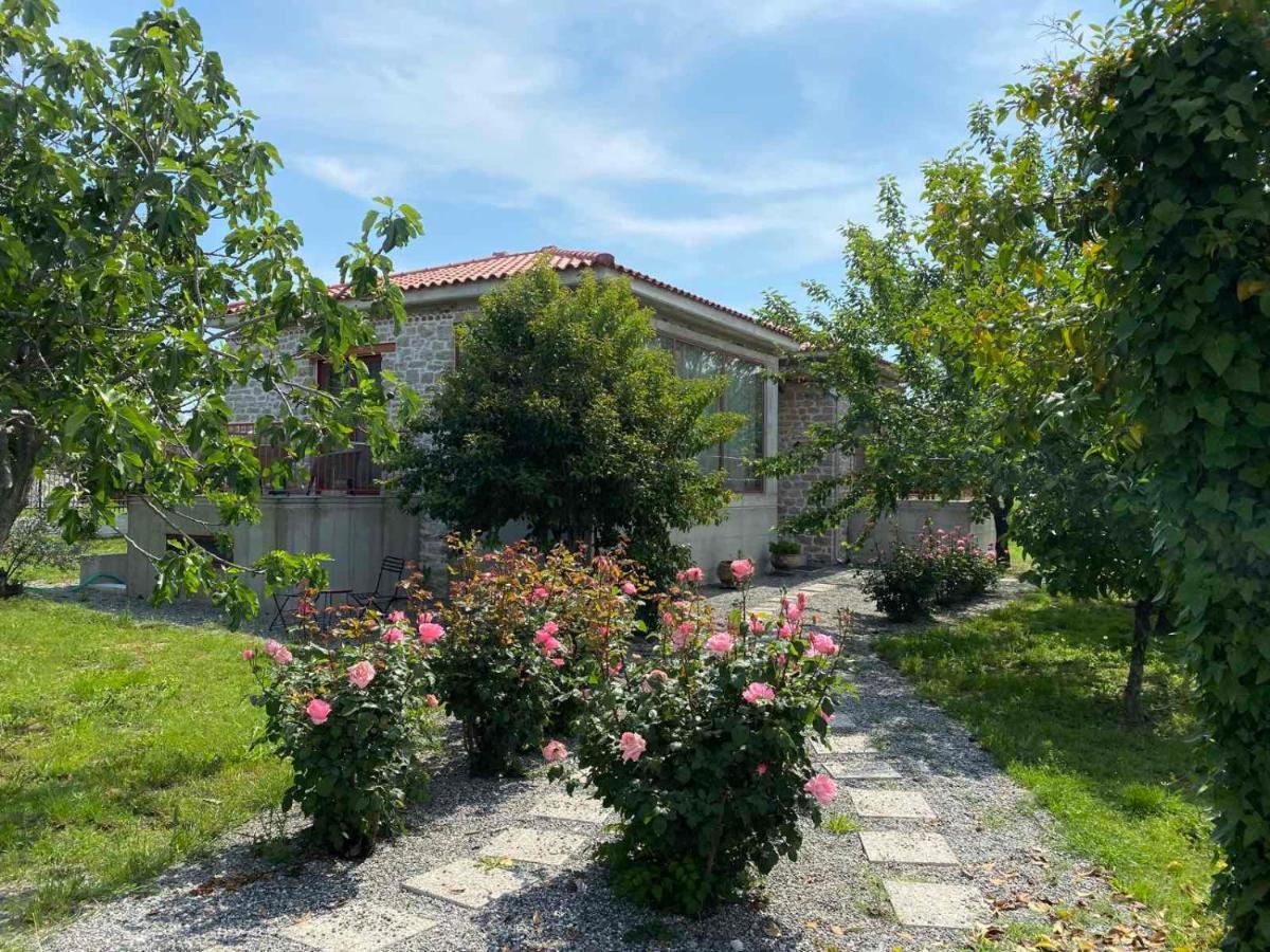 Kampus Luxury Villas Trikala  Exterior photo