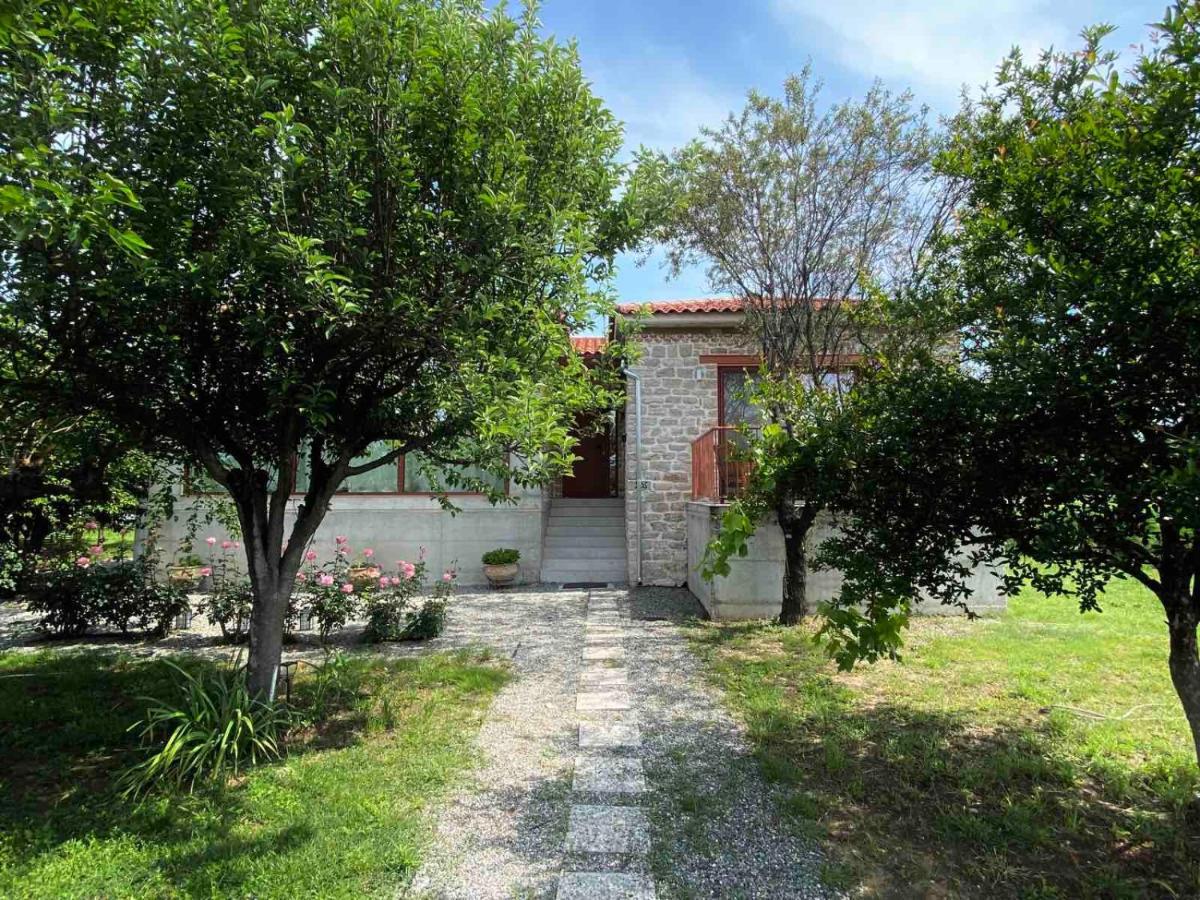 Kampus Luxury Villas Trikala  Exterior photo